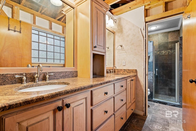 bathroom featuring vanity, toilet, and a shower with shower door