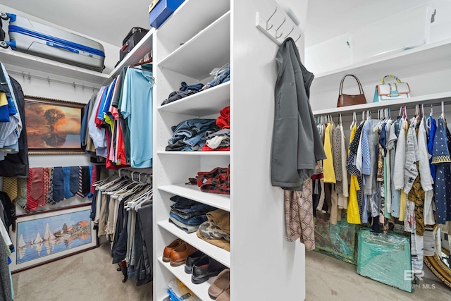 spacious closet featuring carpet flooring