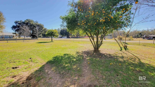 view of yard with a rural view