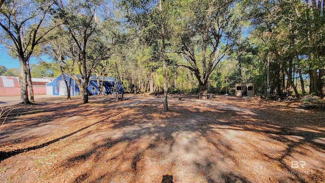 view of yard with a storage shed