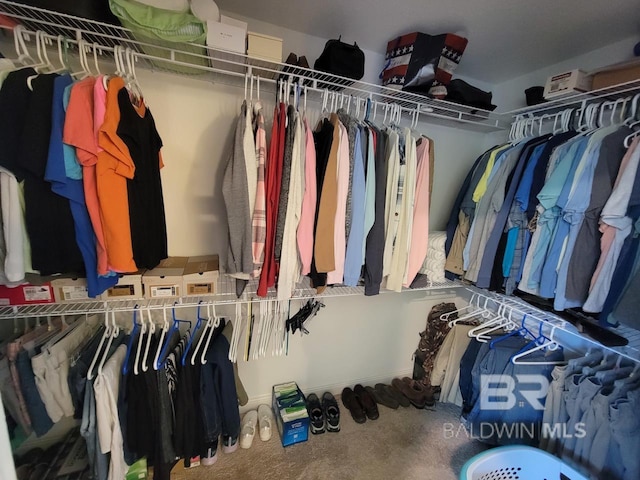 view of spacious closet