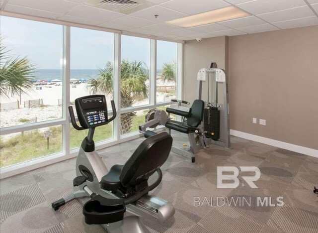 401 E Beach Blvd Unit 507, Gulf Shores, AL 36542 - exercise area featuring a water view, healthy amount of natural light, a wall of windows, carpet floors, and baseboards