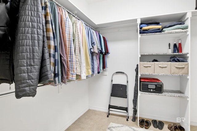 view of spacious closet