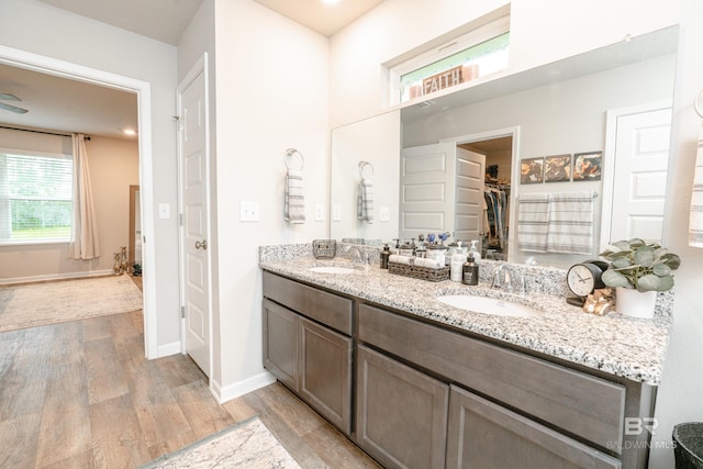 bathroom with vanity and hardwood / wood-style flooring