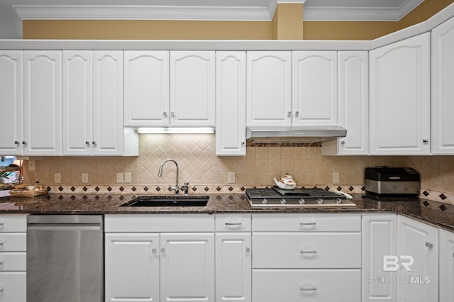 137 Mcintosh Bluff Rd, Fairhope, AL 36532 - kitchen featuring appliances with stainless steel finishes, under cabinet range hood, a sink, ornamental molding, and white cabinets