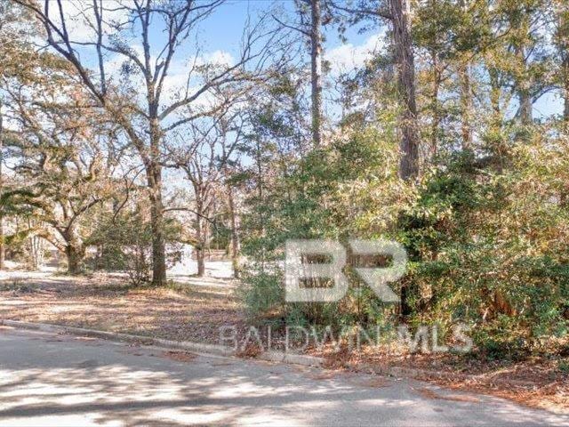 1935 Wildwood Pl, Mobile AL, 36609 land for sale