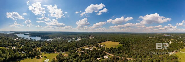 0 County Road 97, Perdido Beach, AL 36530