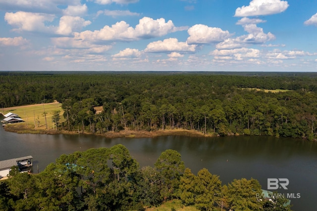 0 County Road 97, Perdido Beach, AL 36530