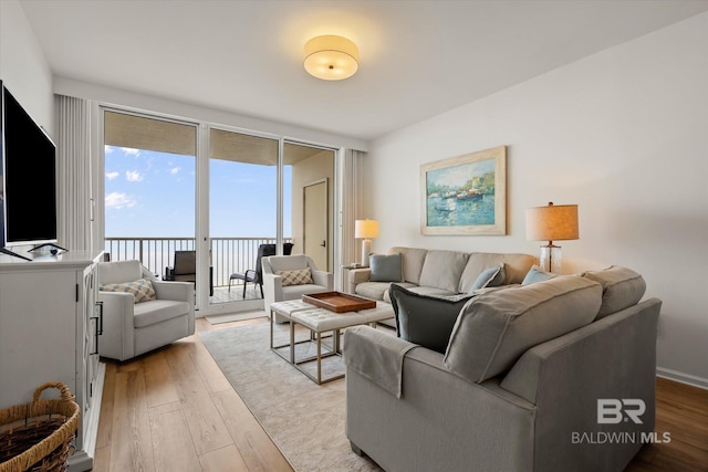 living room with light hardwood / wood-style flooring