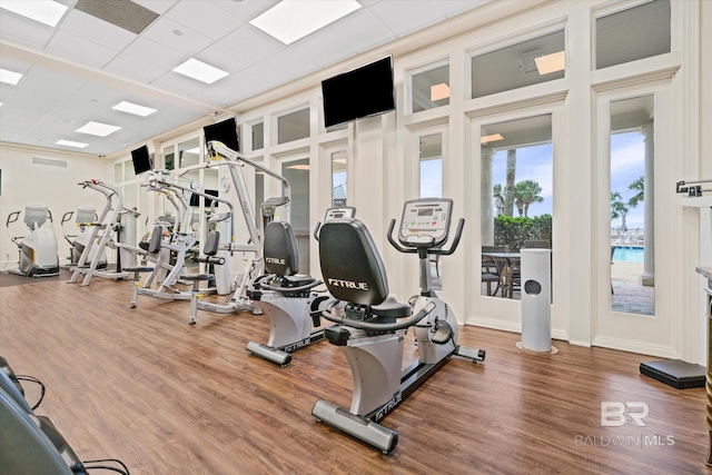 exercise room featuring hardwood / wood-style floors and a drop ceiling