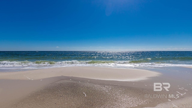 water view featuring a beach view