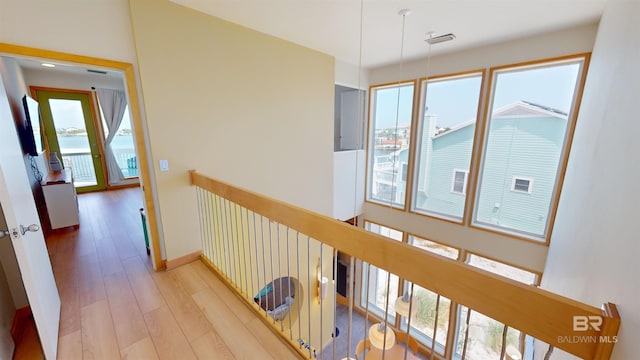 hall featuring wood-type flooring and plenty of natural light