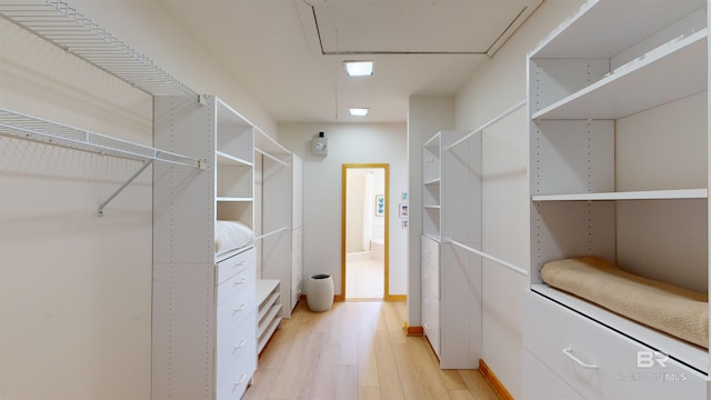 spacious closet with light hardwood / wood-style flooring