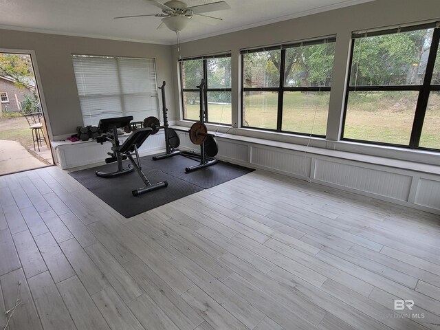 workout area with light hardwood / wood-style flooring and crown molding