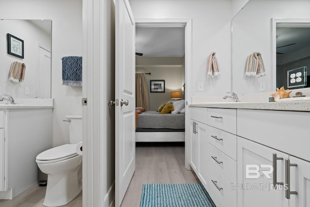 bathroom with vanity, wood-type flooring, and toilet