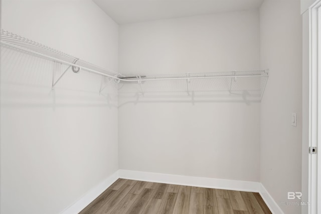 walk in closet with wood finished floors