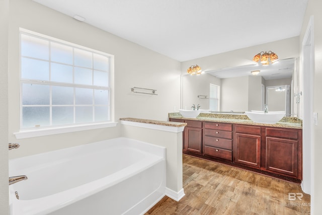 bathroom featuring a tub to relax in, hardwood / wood-style floors, and vanity