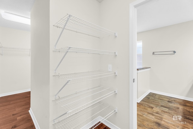 walk in closet with dark hardwood / wood-style flooring