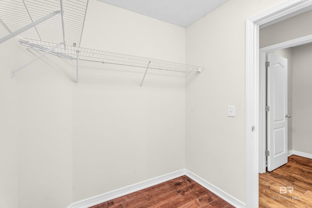 spacious closet featuring hardwood / wood-style flooring