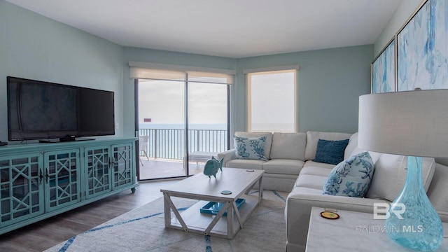 living area featuring wood finished floors