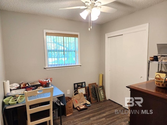 bedroom featuring dark hardwood / wood-style flooring, a closet, a textured ceiling, and ceiling fan