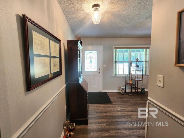 foyer entrance with a textured ceiling and dark hardwood / wood-style floors