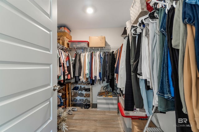 spacious closet with wood-type flooring