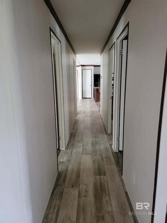 hall featuring light hardwood / wood-style flooring