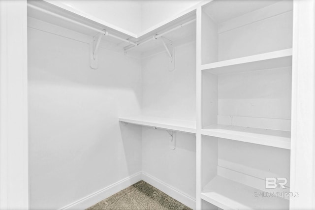10606 Secretariat Blvd, Daphne, AL 36526 - view of spacious closet