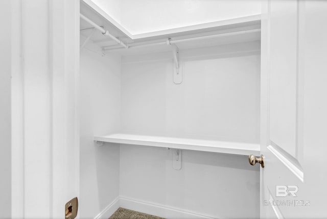 10606 Secretariat Blvd, Daphne, AL 36526 - view of spacious closet