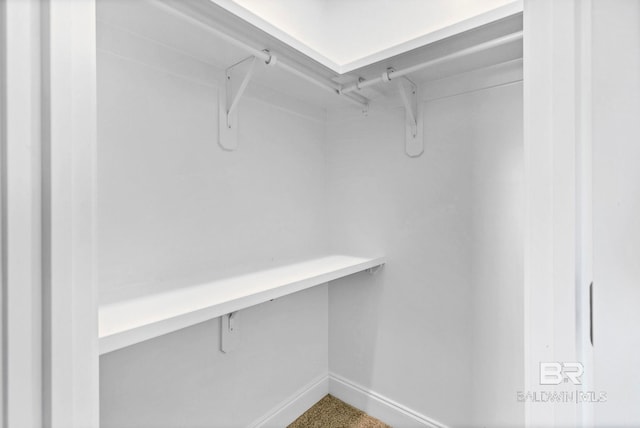10606 Secretariat Blvd, Daphne, AL 36526 - view of spacious closet