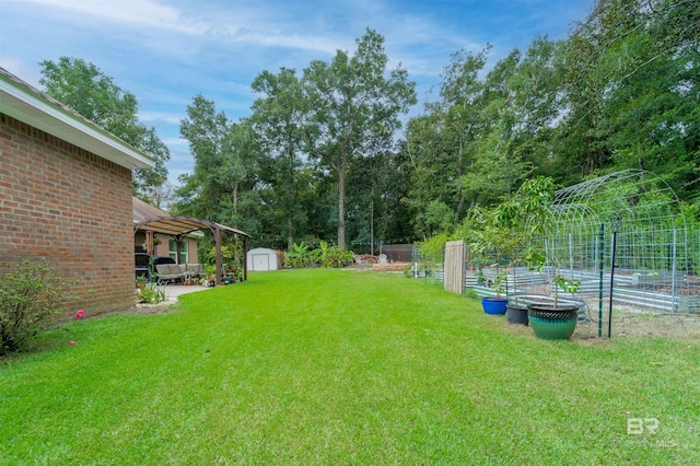 view of yard featuring a patio, a storage shed, a vegetable garden, and an outdoor structure