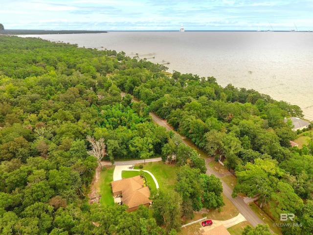 drone / aerial view with a wooded view and a water view