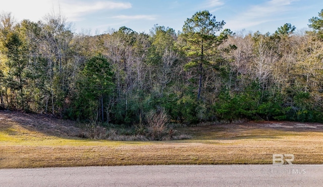 33521 Jimmy Faulkner Dr, Daphne AL, 36527 land for sale