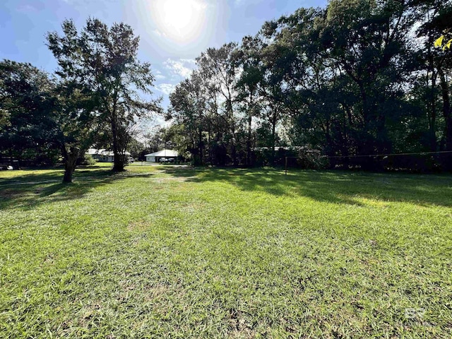 2316 Reneke Ave, Mobile, AL 36605 - view of green lawn with view of scattered trees