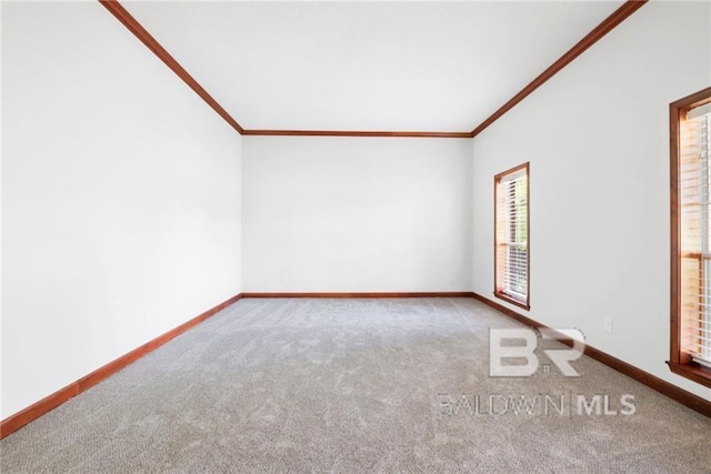 carpeted empty room with crown molding