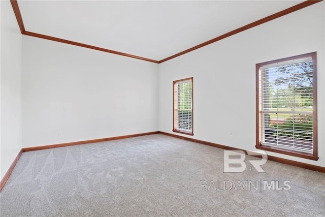 carpeted empty room with a healthy amount of sunlight and ornamental molding