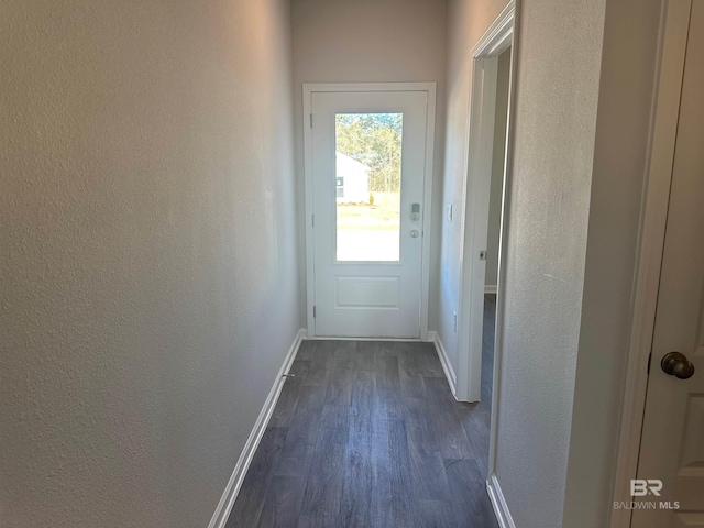 13729 Shea Cir, Foley, AL 36535 - entryway featuring dark wood-style floors, baseboards, and a textured wall
