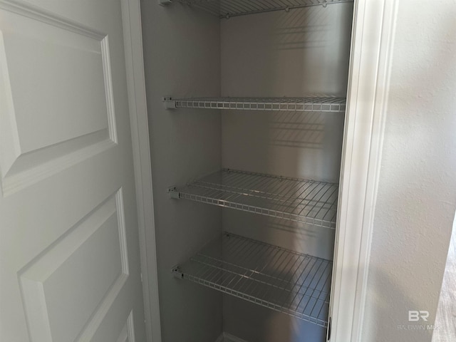 13729 Shea Cir, Foley, AL 36535 - view of closet
