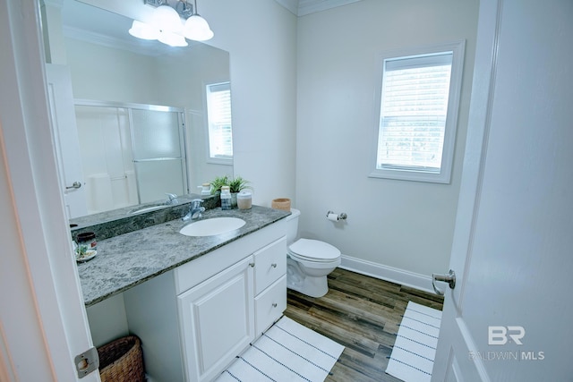 bathroom with a wealth of natural light, a shower with door, vanity, and toilet