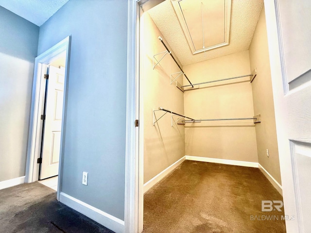 33 Cottage Dr, Fairhope, AL 36532 - spacious closet with attic access and carpet floors