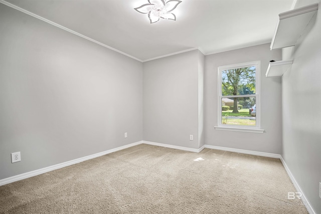 empty room featuring carpet floors and crown molding