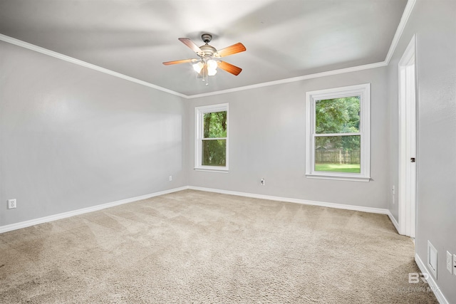 carpeted spare room with ceiling fan and crown molding