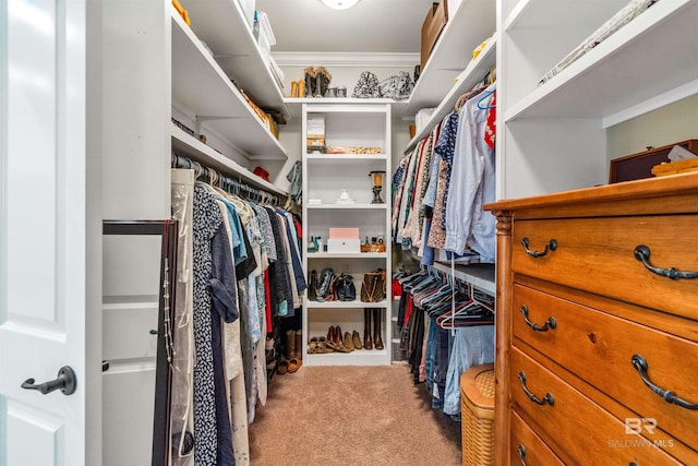 spacious closet with light carpet