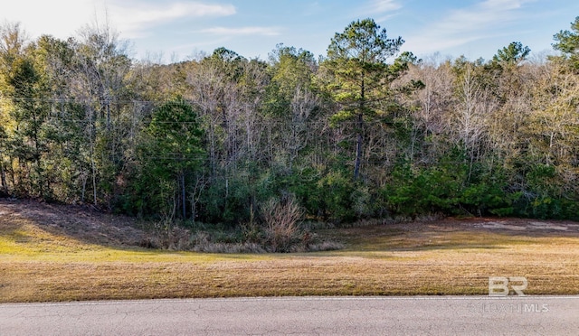 33521 Jimmy Faulkner Dr, Daphne, AL 36527