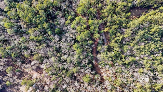 33521 Jimmy Faulkner Dr, Daphne, AL 36527