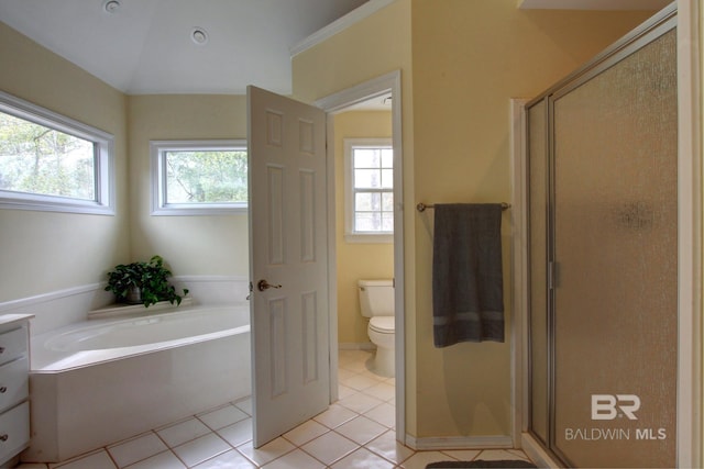 bathroom featuring tile patterned floors, plenty of natural light, vanity, and a shower stall