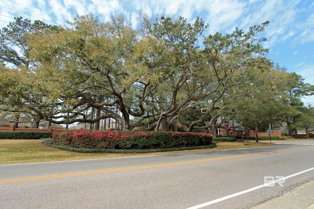 view of street