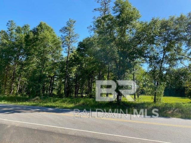 0 S Grand Bay Wilmer, Mobile AL, 36695 land for sale