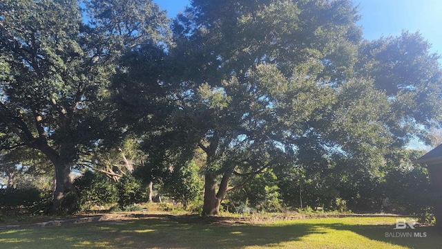 306 S Tee Dr, Fairhope, AL 36532 - view of green lawn